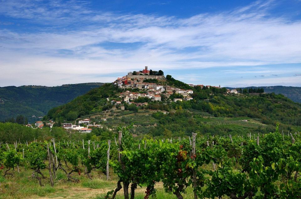 The hilltop town of Motovun above rows of vineyards in inland Istria, Croatia